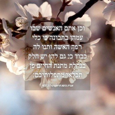 Picture 04 - אגרת כיפא הראשונה 3:7 HEB - וכן אתם האנשים שבו עמהן - Bible Verse Picture