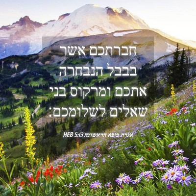 Picture 04 - אגרת כיפא הראשונה 5:13 HEB - חברתכם אשר בבבל הנבחרה - Bible Verse Picture