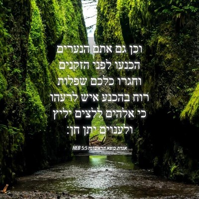 Picture 04 - אגרת כיפא הראשונה 5:5 HEB - וכן גם אתם הנערים הכנעו - Bible Verse Picture