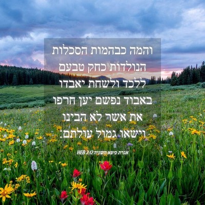 Picture 04 - אגרת כיפא השניה 2:12 HEB - והמה כבהמות הסכלות הנולדות - Bible Verse Picture