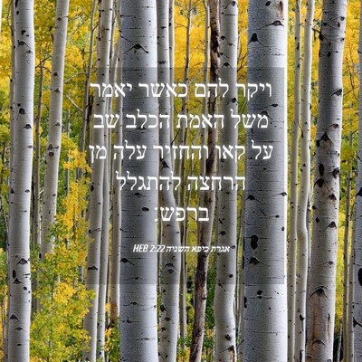 Picture 04 - אגרת כיפא השניה 2:22 HEB - ויקר להם כאשר יאמר משל האמת - Bible Verse Picture