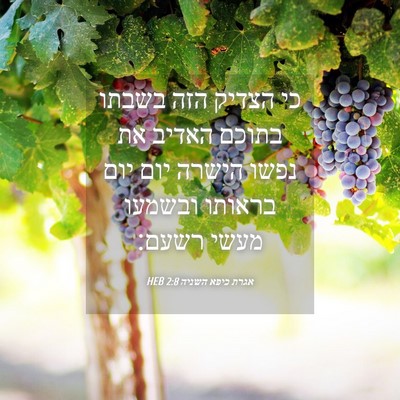 Picture 04 - אגרת כיפא השניה 2:8 HEB - כי הצדיק הזה בשבתו בתוכם - Bible Verse Picture