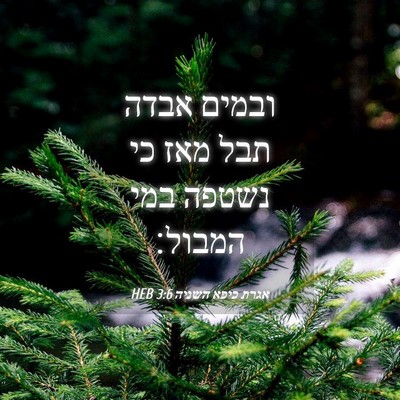 Picture 04 - אגרת כיפא השניה 3:6 HEB - ובמים אבדה תבל מאז כי נשטפה - Bible Verse Picture