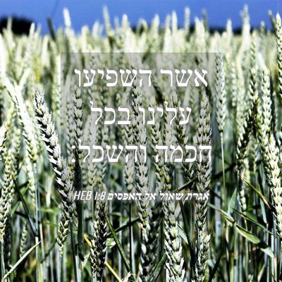 Picture 04 - אגרת שאול אל האפסים 1:8 HEB - אשר השפיעו עלינו בכל חכמה - Bible Verse Picture
