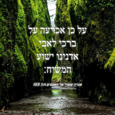 Picture 04 - אגרת שאול אל האפסים 3:14 HEB - על כן אכרעה על ברכי לאבי - Bible Verse Picture