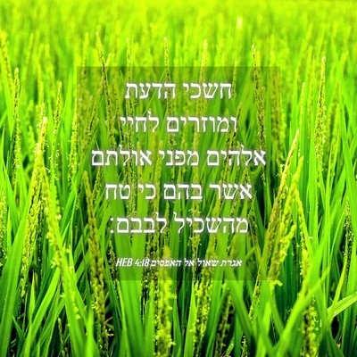 Picture 04 - אגרת שאול אל האפסים 4:18 HEB - חשכי הדעת ומוזרים לחיי - Bible Verse Picture