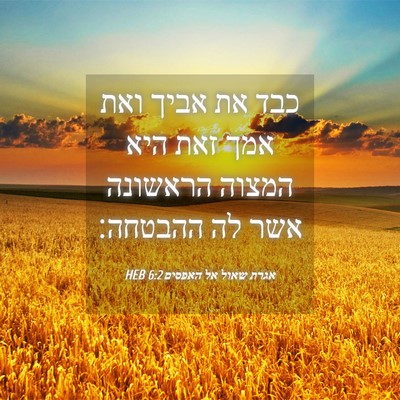 Picture 04 - אגרת שאול אל האפסים 6:2 HEB - כבד את אביך ואת אמך זאת היא - Bible Verse Picture