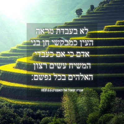 Picture 04 - אגרת שאול אל האפסים 6:6 HEB - לא בעבדת מראה העין כמבקשי - Bible Verse Picture
