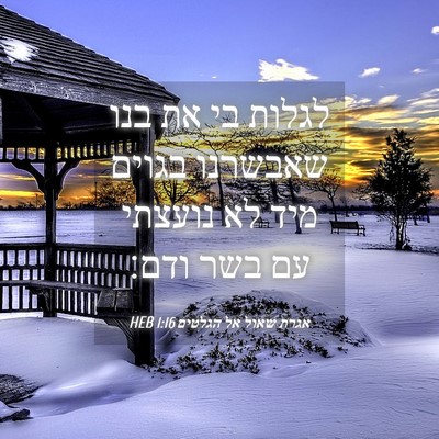 Picture 04 - אגרת שאול אל הגלטים 1:16 HEB - לגלות בי את בנו שאבשרנו - Bible Verse Picture