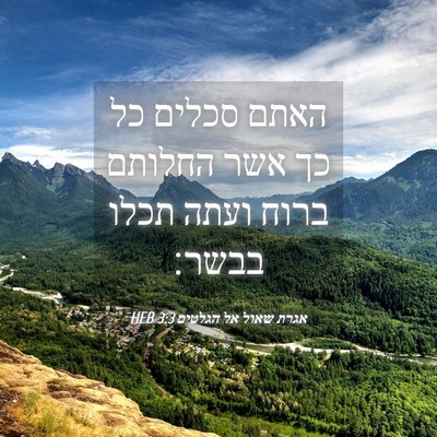 Picture 04 - אגרת שאול אל הגלטים 3:3 HEB - האתם סכלים כל כך אשר החלותם - Bible Verse Picture