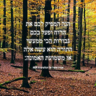 Picture 04 - אגרת שאול אל הגלטים 3:5 HEB - הנה המפיק לכם את הרוח ופעל - Bible Verse Picture