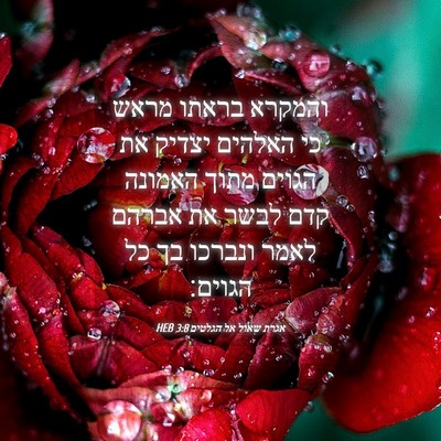 Picture 04 - אגרת שאול אל הגלטים 3:8 HEB - והמקרא בראתו מראש כי - Bible Verse Picture