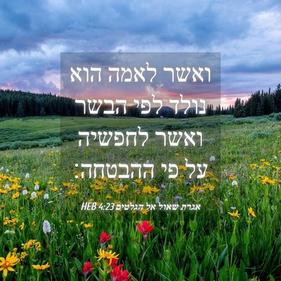Picture 04 - אגרת שאול אל הגלטים 4:23 HEB - ואשר לאמה הוא נולד לפי הבשר - Bible Verse Picture