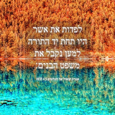 Picture 04 - אגרת שאול אל הגלטים 4:5 HEB - לפדות את אשר היו תחת יד - Bible Verse Picture