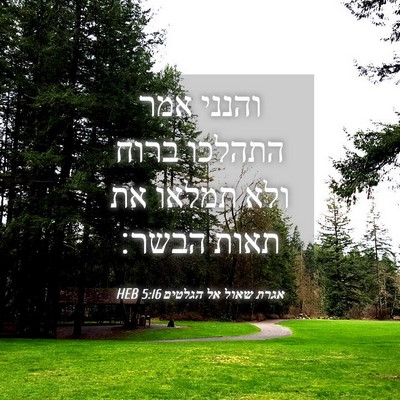 Picture 04 - אגרת שאול אל הגלטים 5:16 HEB - והנני אמר התהלכו ברוח ולא - Bible Verse Picture
