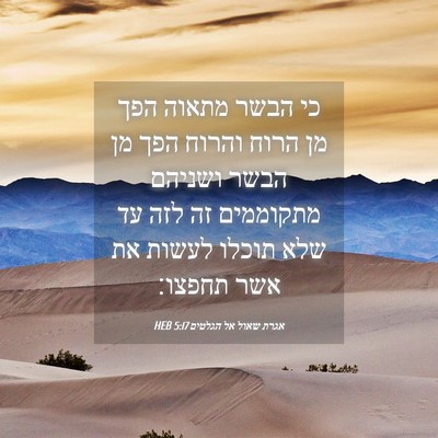 Picture 04 - אגרת שאול אל הגלטים 5:17 HEB - כי הבשר מתאוה הפך מן הרוח - Bible Verse Picture