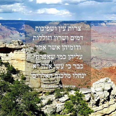 Picture 04 - אגרת שאול אל הגלטים 5:21 HEB - צרות עין ושפיכות דמים - Bible Verse Picture