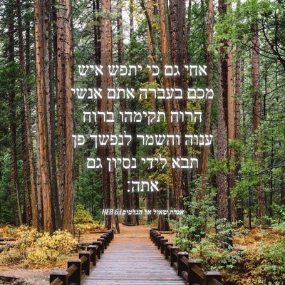 Picture 04 - אגרת שאול אל הגלטים 6:1 HEB - אחי גם כי יתפש איש מכם - Bible Verse Picture