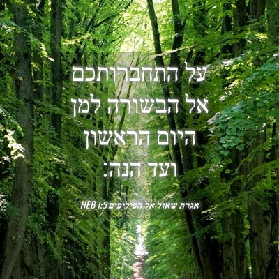 Picture 04 - אגרת שאול אל הפיליפים 1:5 HEB - על התחברותכם אל הבשורה למן - Bible Verse Picture