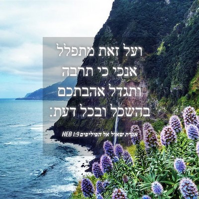 Picture 04 - אגרת שאול אל הפיליפים 1:9 HEB - ועל זאת מתפלל אנכי כי תרבה - Bible Verse Picture