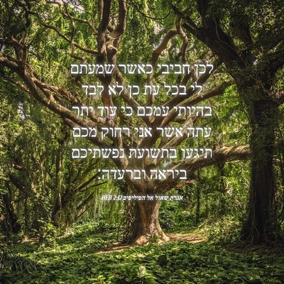 Picture 04 - אגרת שאול אל הפיליפים 2:12 HEB - לכן חביבי כאשר שמעתם לי בכל - Bible Verse Picture