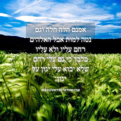 Picture 04 - אגרת שאול אל הפיליפים 2:27 HEB - אמנם חלה חלה וגם נטה למות - Bible Verse Picture