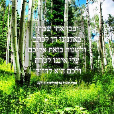 Picture 04 - אגרת שאול אל הפיליפים 3:1 HEB - ובכן אחי שמחו באדנינו הן - Bible Verse Picture