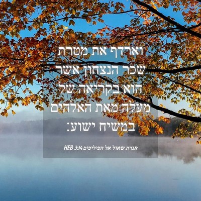 Picture 04 - אגרת שאול אל הפיליפים 3:14 HEB - וארדף את מטרת שכר הנצחון - Bible Verse Picture