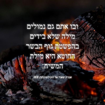 Picture 04 - אגרת שאול אל הקולוסים 2:11 HEB - ובו אתם גם נמולים מילה שלא - Bible Verse Picture