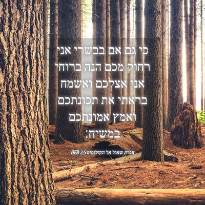Picture 04 - אגרת שאול אל הקולוסים 2:5 HEB - כי גם אם בבשרי אני רחוק מכם - Bible Verse Picture
