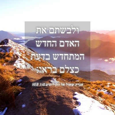 Picture 04 - אגרת שאול אל הקולוסים 3:10 HEB - ולבשתם את האדם החדש המתחדש - Bible Verse Picture