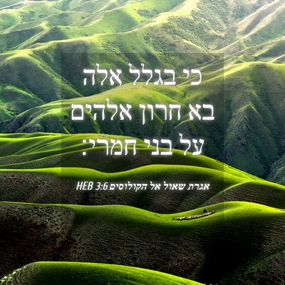 Picture 04 - אגרת שאול אל הקולוסים 3:6 HEB - כי בגלל אלה בא חרון אלהים - Bible Verse Picture