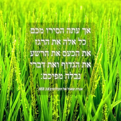 Picture 04 - אגרת שאול אל הקולוסים 3:8 HEB - אך עתה הסירו מכם כל אלה את - Bible Verse Picture