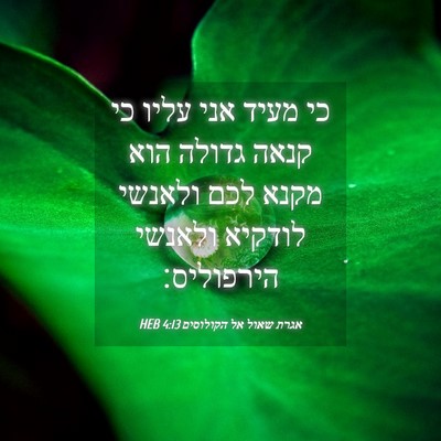 Picture 04 - אגרת שאול אל הקולוסים 4:13 HEB - כי מעיד אני עליו כי קנאה - Bible Verse Picture