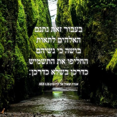 Picture 04 - אגרת שאול אל הרומים 1:26 HEB - בעבור זאת נתנם האלהים - Bible Verse Picture