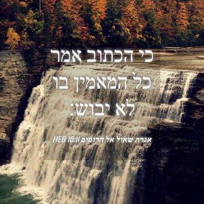 Picture 04 - אגרת שאול אל הרומים 10:11 HEB - כי הכתוב אמר כל המאמין בו - Bible Verse Picture