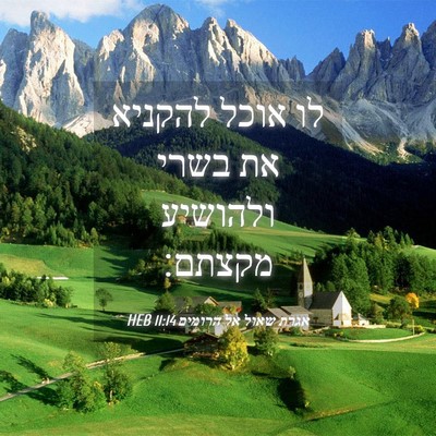 Picture 04 - אגרת שאול אל הרומים 11:14 HEB - לו אוכל להקניא את בשרי - Bible Verse Picture