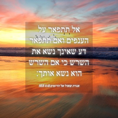 Picture 04 - אגרת שאול אל הרומים 11:18 HEB - אל תתפאר על הענפים ואם - Bible Verse Picture