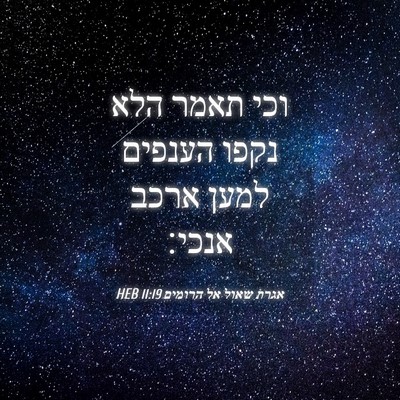 Picture 04 - אגרת שאול אל הרומים 11:19 HEB - וכי תאמר הלא נקפו הענפים - Bible Verse Picture