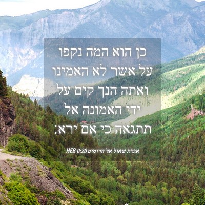 Picture 04 - אגרת שאול אל הרומים 11:20 HEB - כן הוא המה נקפו על אשר לא - Bible Verse Picture