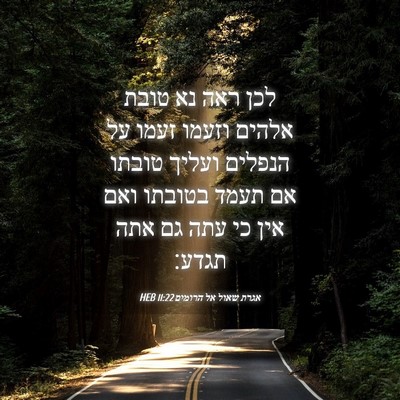 Picture 04 - אגרת שאול אל הרומים 11:22 HEB - לכן ראה נא טובת אלהים וזעמו - Bible Verse Picture