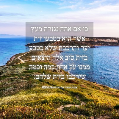 Picture 04 - אגרת שאול אל הרומים 11:24 HEB - כי אם אתה נגזרת מעץ אשר הוא - Bible Verse Picture