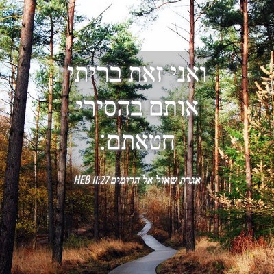 Picture 04 - אגרת שאול אל הרומים 11:27 HEB - ואני זאת בריתי אותם בהסירי - Bible Verse Picture