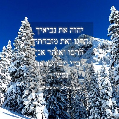Picture 04 - אגרת שאול אל הרומים 11:3 HEB - יהוה את נביאיך הרגו ואת - Bible Verse Picture