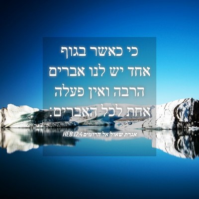 Picture 04 - אגרת שאול אל הרומים 12:4 HEB - כי כאשר בגוף אחד יש לנו - Bible Verse Picture