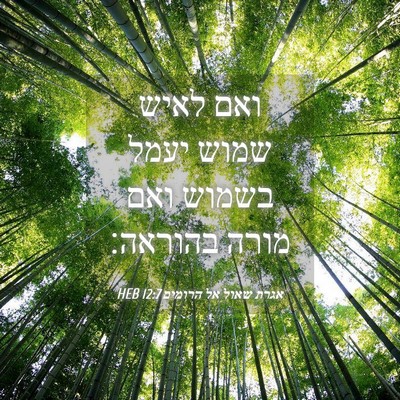 Picture 04 - אגרת שאול אל הרומים 12:7 HEB - ואם לאיש שמוש יעמל בשמוש - Bible Verse Picture