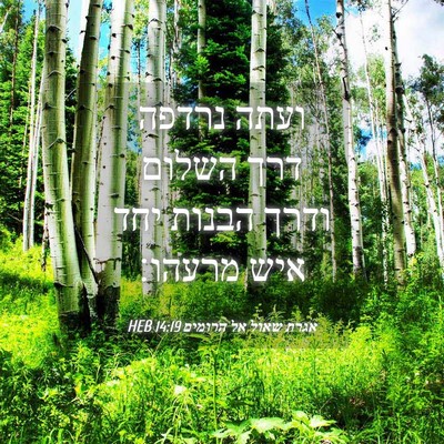 Picture 04 - אגרת שאול אל הרומים 14:19 HEB - ועתה נרדפה דרך השלום ודרך - Bible Verse Picture