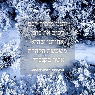 Picture 04 - אגרת שאול אל הרומים 16:1 HEB - והנני מזכיר לכם לטוב את - Bible Verse Picture