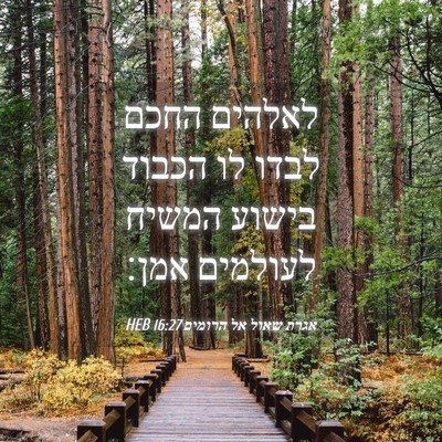 Picture 04 - אגרת שאול אל הרומים 16:27 HEB - לאלהים החכם לבדו לו הכבוד - Bible Verse Picture