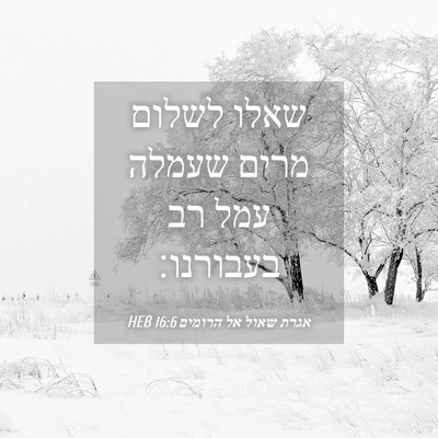 Picture 04 - אגרת שאול אל הרומים 16:6 HEB - שאלו לשלום מרים שעמלה עמל - Bible Verse Picture